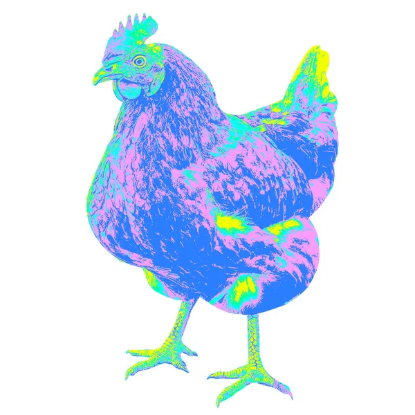 Illustrazione Con Pollo Multicolore Nello Stile Della Pop Art — Foto Stock