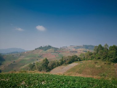 Güzel dağ manzarası