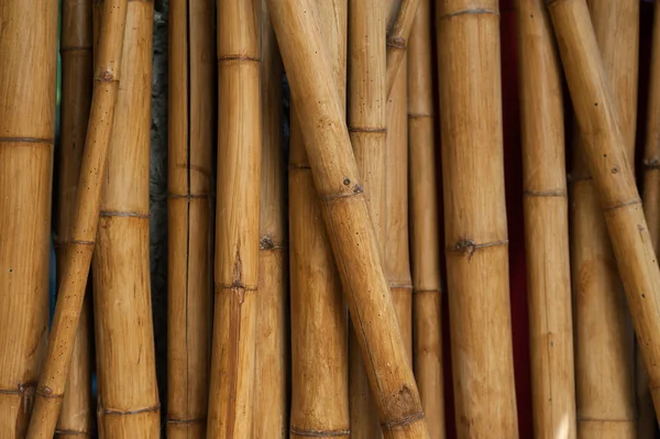 Kvalitet naturlig bambu bakgrund — Stockfoto