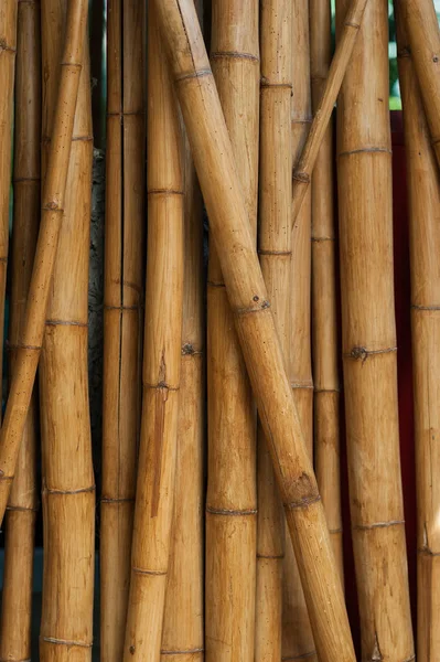 Qualità naturale sfondo di bambù — Foto Stock