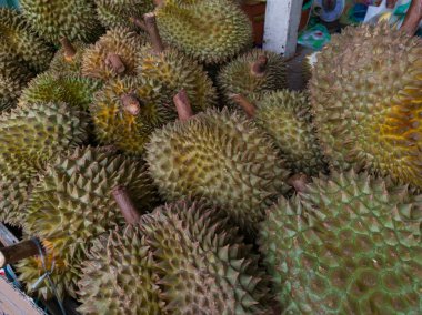 pis kokulu tatlı Tay meyve olan durian.