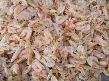 Kuru boya parlak güneş kadar kuru gıda