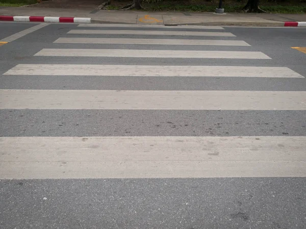 Пешеходный переход зебры с асфальтовой дорогой — стоковое фото