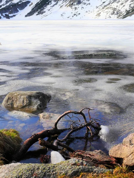 Achtergrond. water. ijs. gras. de bergen — Stockfoto