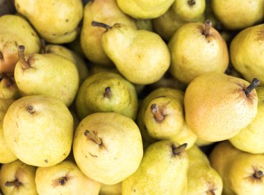 Kırmızı elma, arka plan. Sonbahar, hasat.