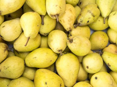 Kırmızı elma, arka plan. Sonbahar, hasat.