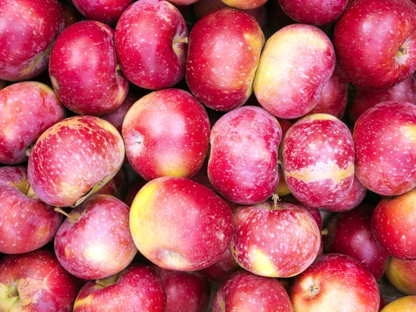 Kırmızı elma, arka plan. Sonbahar, hasat.