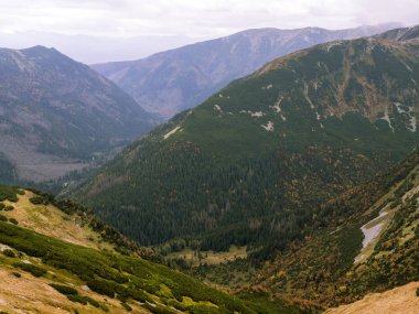 Sonbahar parlak renkler dağlarda