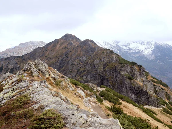 山の秋。トップの雪、木々 の鮮やかな色 — ストック写真