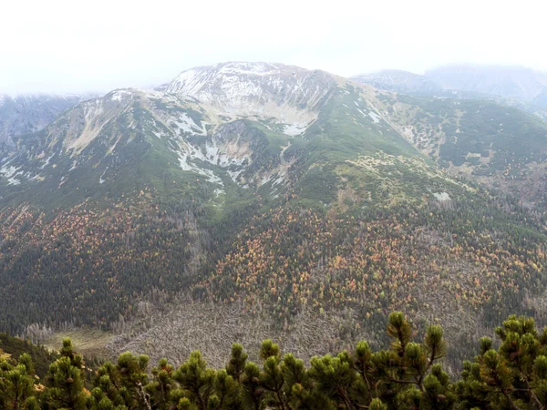 Herfst in de bergen. Sneeuw op de toppen, heldere kleuren van de bomen — Stockfoto