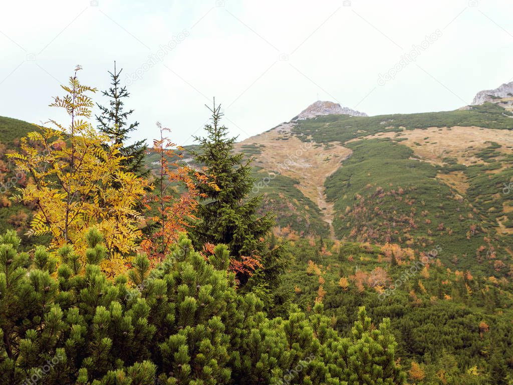 Bright colors of autumn in the mountains