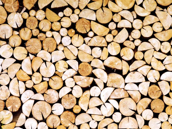 Arka plan spil ağacının odun