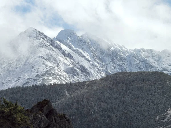 Téli hegyek. Fák a fagy, a csúcsok, a felhők és a hegyek snow — Stock Fotó