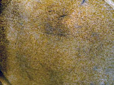 pas metal film kutuları üzerinde 35 mm film okside