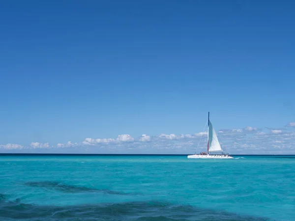 Mavi deniz ve gökyüzü, Karayip karşı beyaz yelkenli — Stok fotoğraf