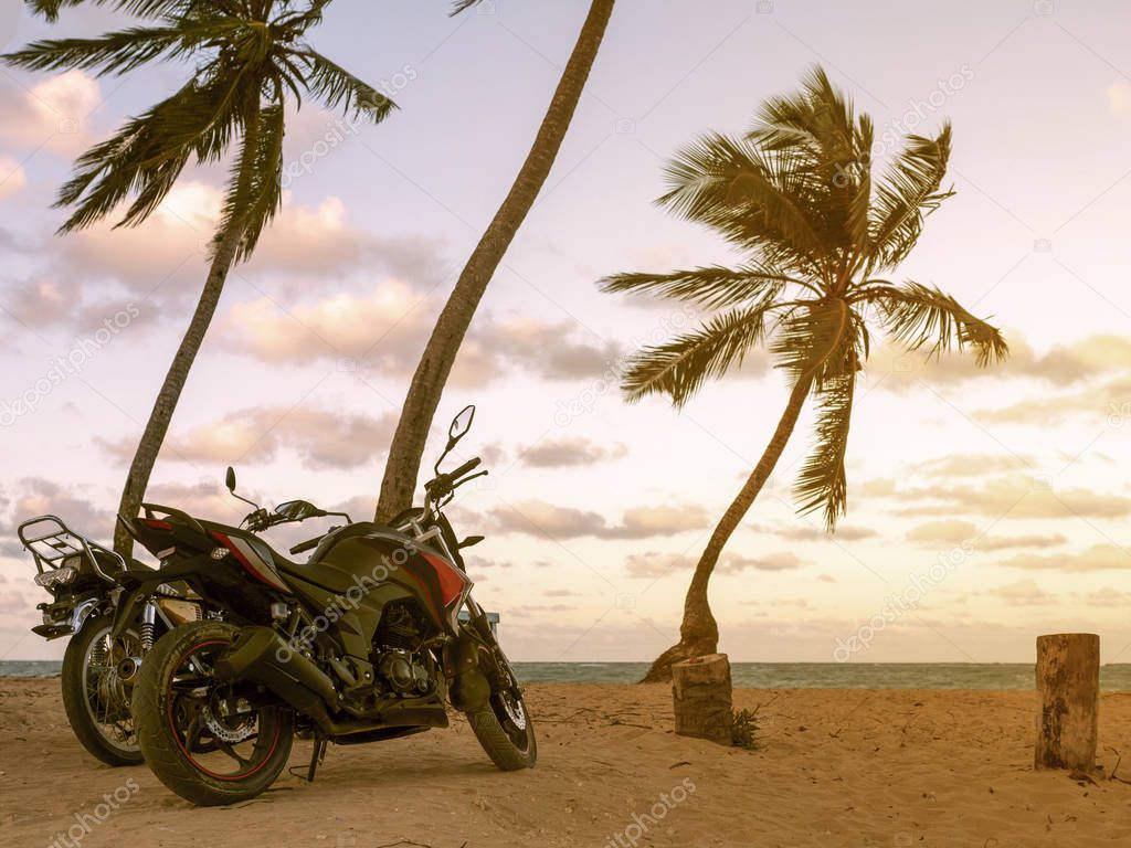 Motorcycles, beach, with palm trees
