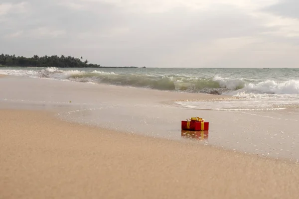 Geschenkdoos Het Tropische Strand Van Sri Lanka — Stockfoto