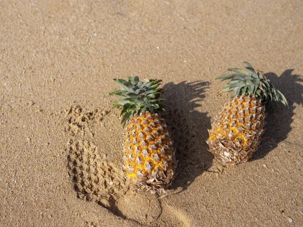 Kumsaldaki Ananaslar - Stok İmaj