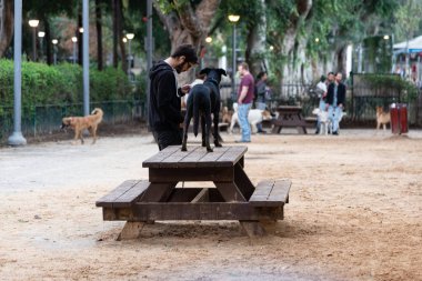 29.11.2018. İsrail. Tel Aviv 'de. Eski ve yeni şehir mimarisi 