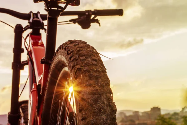 Bicycle on sunset. — Stock Photo, Image