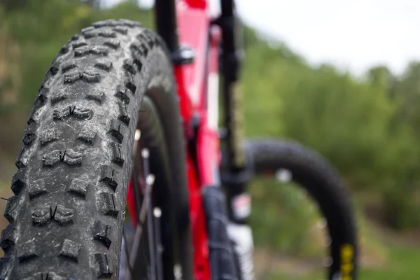 Back shot of mountain bike. Rear wheel. Mountain bike tire. Tires 27,5 inch MTB Bicycle component. — Stock Photo, Image