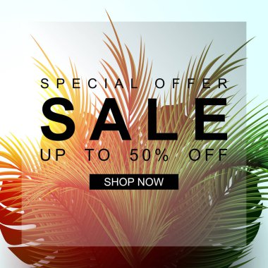 Palmiye yapraklı yaz indirimi afişi. Özel fiyat. 50 'ye kadar indirim var. Güneş ışığıyla doğa arkaplanı.