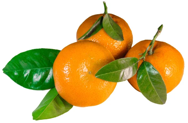 Tangerines with leaves — Stock Photo, Image