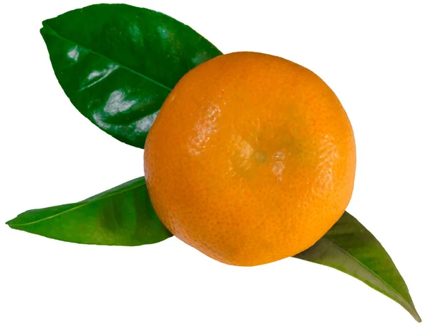 Mandarina con hojas aisladas —  Fotos de Stock