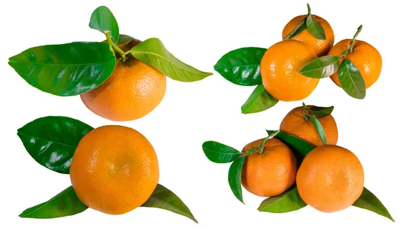 Set of mandarins with leaves, closeup — Stock Photo, Image