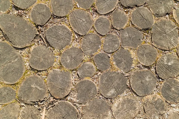 Textura - materiales naturales, troncos de sierra para decorar suelos y paredes — Foto de Stock