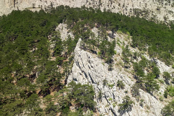 Funivia per montare Ai-Petri, vista dalla cabina fino alla montagna — Foto Stock