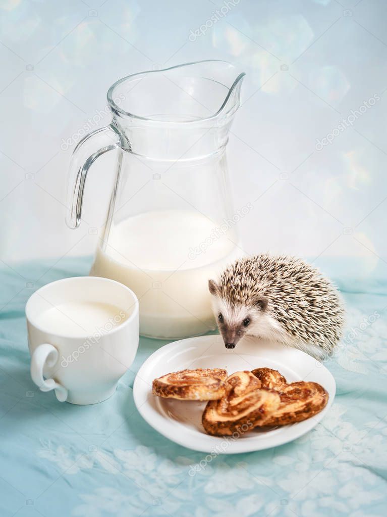 Funny hedgehog near a mug of milk