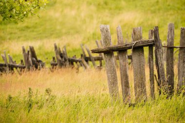 Kırsal alanın kuru ot