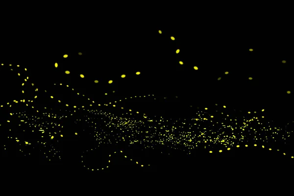 Glühwürmchen, Blitzkäfer auf schwarzem Hintergrund — Stockfoto