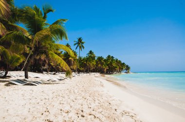 Tropikal yalnız plaj sahne Saona Island, Dominik Cumhuriyeti