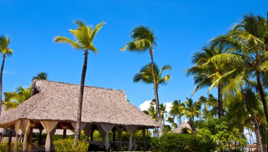 Bahçe Barcelo Bavaro Palace Deluxe hotel Spa özel alanında