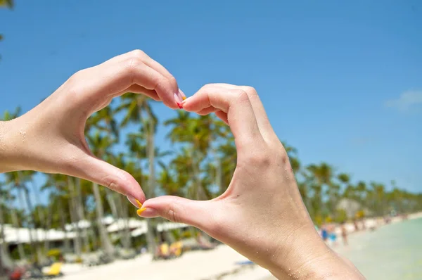 Hands making heart shape on the beach with coconut trees