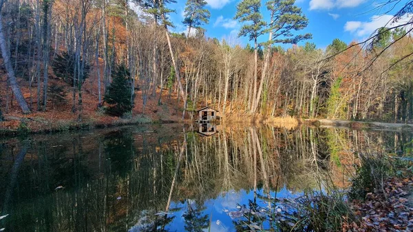 Lago Foresta Montagna — Foto Stock