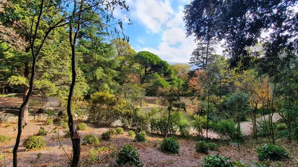 Parkta sonbahar ağaçları