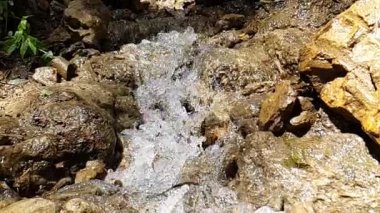 Temiz su taşların arasında akıyor.