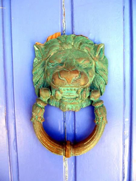Лев голову двері стукіт у фіолетовий двері — стокове фото