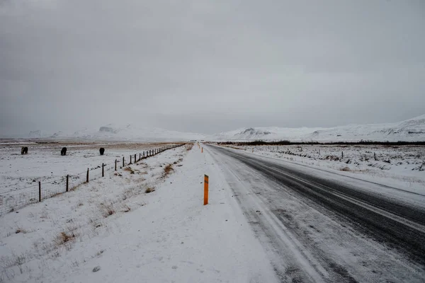 Camino Recto Islandia Que Conduce Través Paisaje Nevado — Foto de Stock