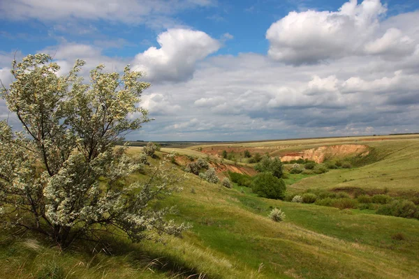 Orenburg steppe landscape with ravines — Stock Photo, Image