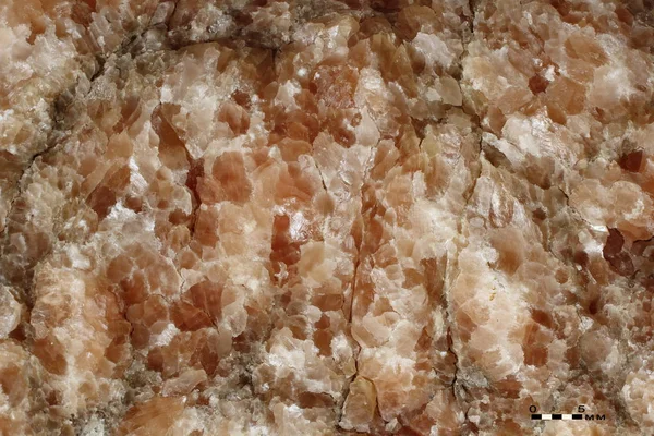 Intergrowths of gypsum crystals Samara