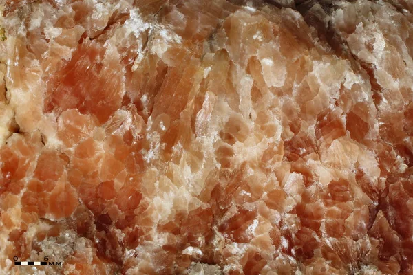 Intergrowths of gypsum crystals Samara