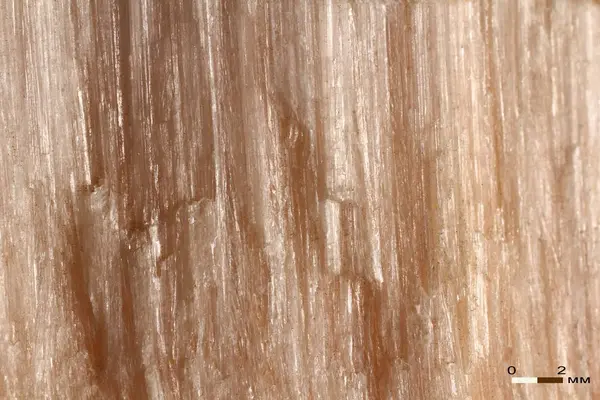 미네랄 사마라 핑크 석고의 샘플 — 스톡 사진