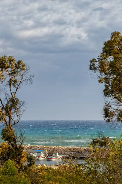 사이 프 러 스 나무를 통해 바다를 보기 — 스톡 사진