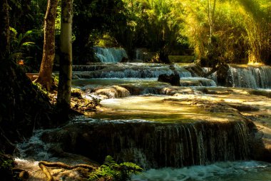 Luang Prabang, Laos yakınındaki pastoral Kuang Si Şelalesi