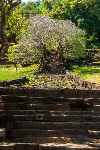 在老挝南部 Wat Phu — 图库照片