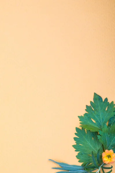 Sağ alt köşesinde çiçek kompozisyonu olan turuncu kağıt arka plan. Yeşil otlar, yapraklar ve küçük çiçekler. Yukarıdaki alanı kopyala, selevasyon için dekore edilmiş duvar kağıdı